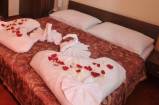 Magnolia room Hotel Magnolia single room