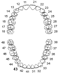 Contact dental clinic abroad